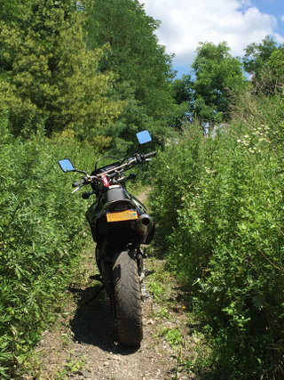 Nearly bald Shinko rear getting the job done